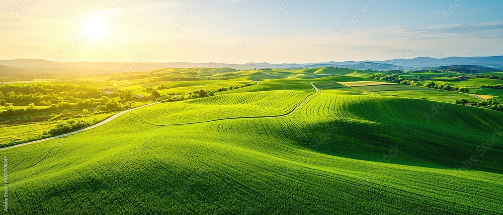 Realistic photo of a peaceful countryside with rolling green hills and farmland, Landscape Drone view capturing the winding roads and patchwork fields, bright and clear Realistic photo of a peaceful countryside with rolling green hills and farmland, Landscape Drone view capturing the winding roads and patchwork fields, bright and clear