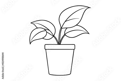 House plant in a pot doodle outline, Potted plant line art vector illustration	
