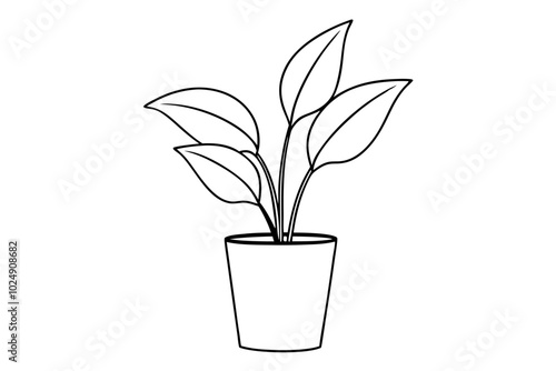 House plant in a pot doodle outline, Potted plant line art vector illustration 