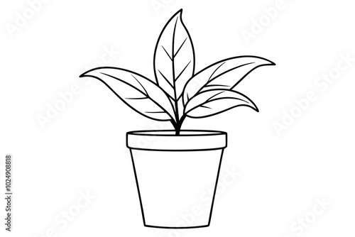 House plant in a pot doodle outline, Potted plant line art vector illustration	
