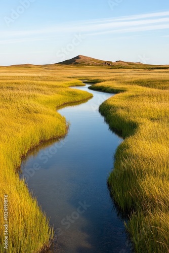 A serene landscape featuring a winding stream through golden grasslands and hills.