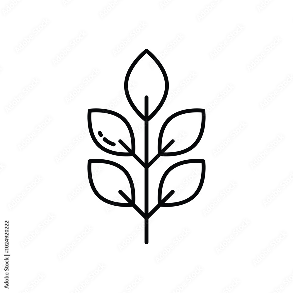 Eucalyptus vector icons stock illustration Eucalyptus vector icons stock illustration