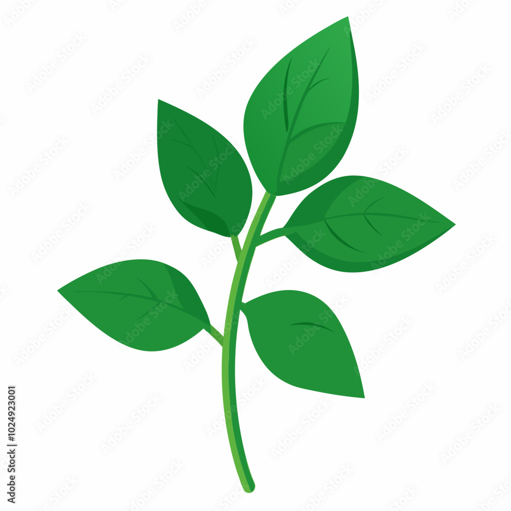 Sprig of Basil design with white background Sprig of Basil design with white background