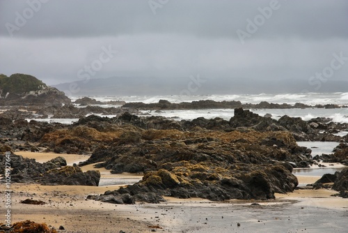 Rainy Catlins in New Zealand photo