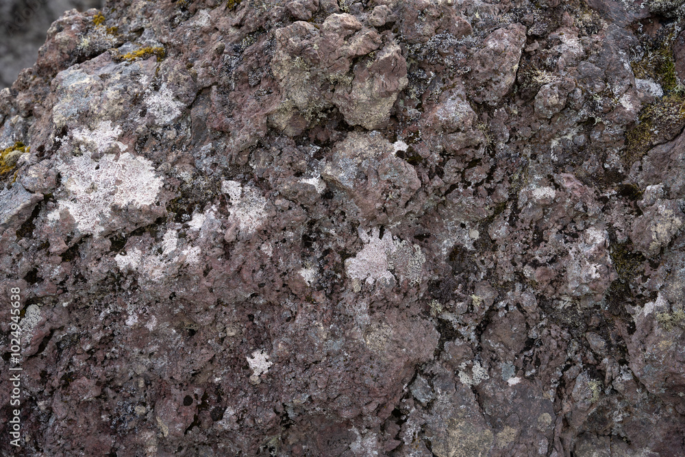 Close up of natural texture, color and shape from Iceland. Beautiful abstract and artistic nature for background. Close up of natural texture, color and shape from Iceland. Beautiful abstract and artistic nature for background.
