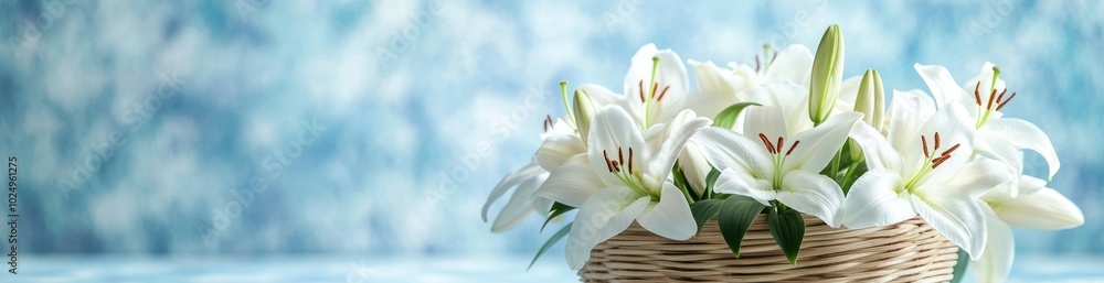 A serene arrangement of white lilies in a woven basket against a soft blue background. A serene arrangement of white lilies in a woven basket against a soft blue background.