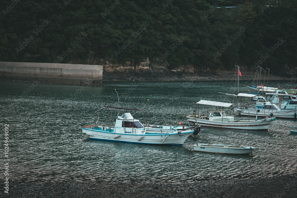 Obraz premium 港町の風景