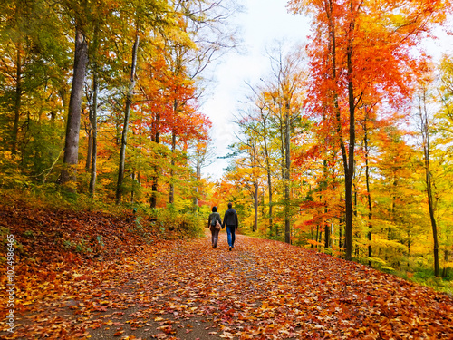 Couple walking hand in hand in the colorful autumn forest