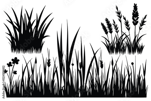 grass silhouettes in black, isolated on a white background G.eps