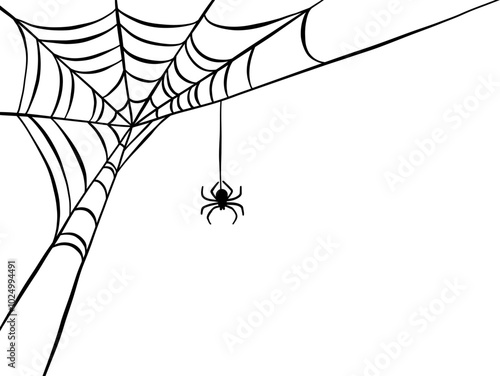Vector illustration of spider web isolated on white background or banner