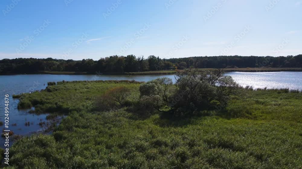Fish farming lakes drone view Nowe Grodzisko Landscape Park Poland Fish farming lakes drone view Nowe Grodzisko Landscape Park Poland