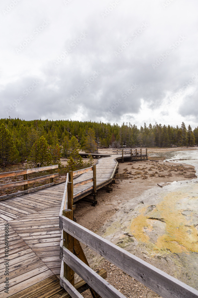 Naklejka premium Scenic Wooden Boardwalk Through Yellowstone National Park in Wyoming, USA on a Cloudy Day