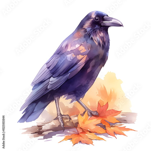 Black Raven watercolor illustration on white background photo