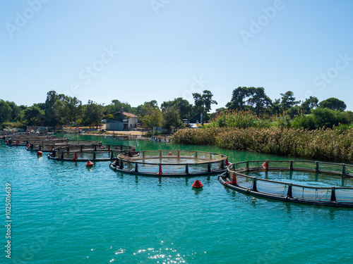 Fototapeta Naklejka Na Ścianę i Meble -  River Manavgat fish farming
