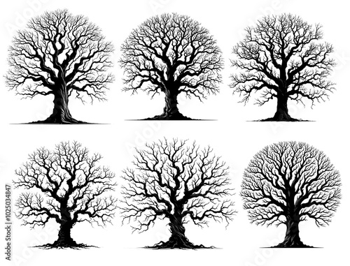 Fotografi silhouette trees