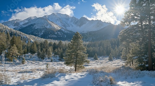 Sunlight Dappled Majestic Snowy Mountain Range with Pine Trees