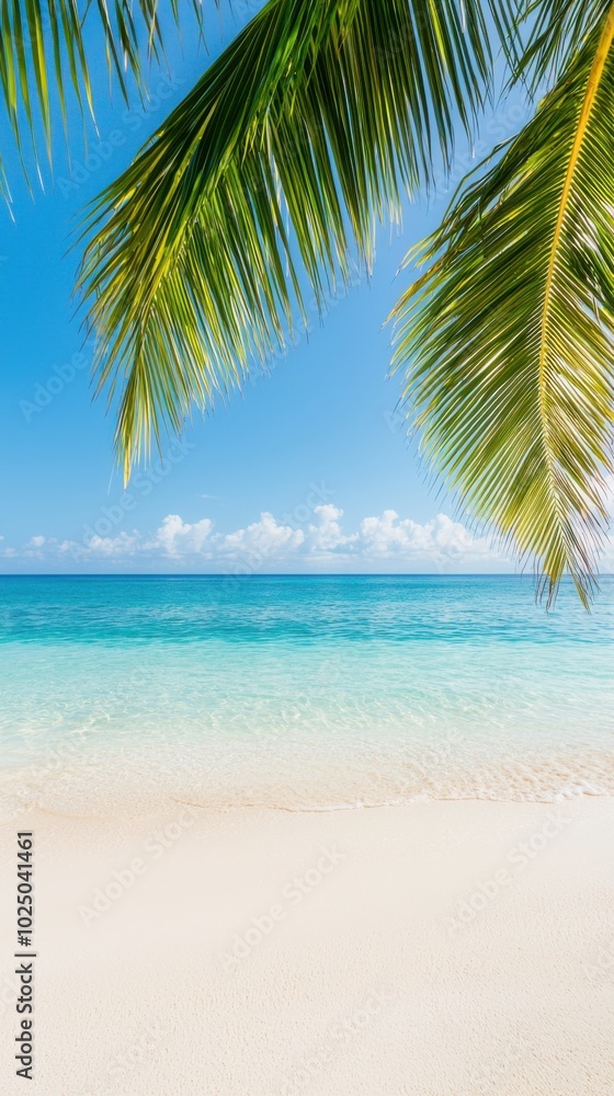 Fototapeta premium Tropical beach paradise with clear water and palm trees under a bright blue sky.