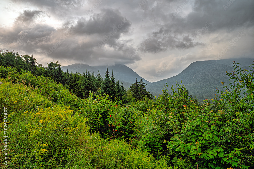 Along the Kancamagus Highway
