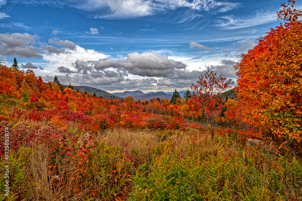 Fototapeta premium Along the Kancamagus Highway