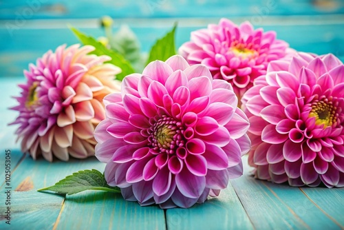 Beautiful Pink Dahlia Flowers on Pastel Table for Greeting Cards, Birthdays, and Mother's Day with Copy Space for