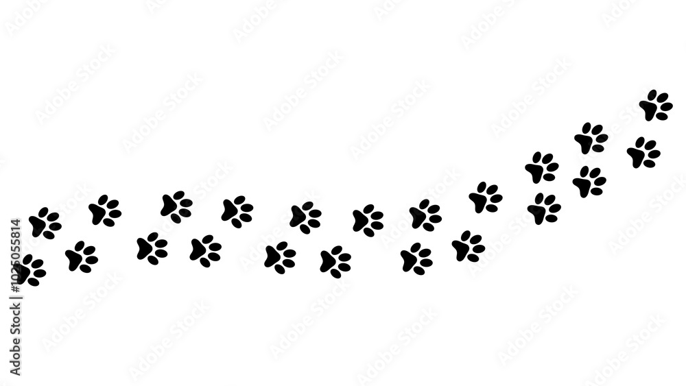 paw prints isolated on transparent background, pet walk,dog and cat footprint,cute pet concept overlay design element paw prints isolated on transparent background, pet walk,dog and cat footprint,cute pet concept overlay design element