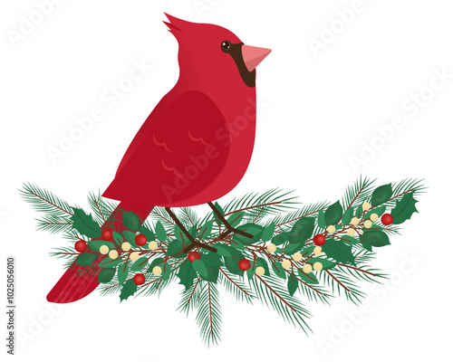 Hand drawn vector illustration of bird Red Cardinal. Winter illustration. Birds sitting on a tree. For cards, invitations, posters