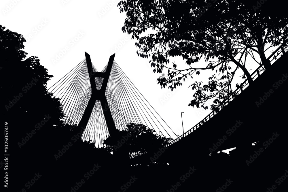 silhouette of Estaiada Bridge in São Paulo city, Brazil