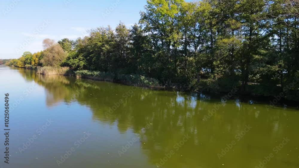 Carp Fish Farming Lakes Nowe Grodzisk Landscape Park Poland Carp Fish Farming Lakes Nowe Grodzisk Landscape Park Poland