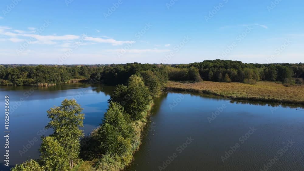 Carp Fish Farming Lakes Nowe Grodzisk Landscape Park Poland Carp Fish Farming Lakes Nowe Grodzisk Landscape Park Poland