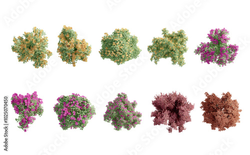 tree top view plant landscape architecture nature garden aerial render.