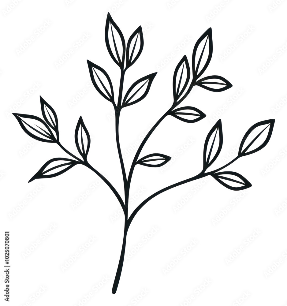 PNG Simple plant doodle pattern drawing sketch. PNG Simple plant doodle pattern drawing sketch.