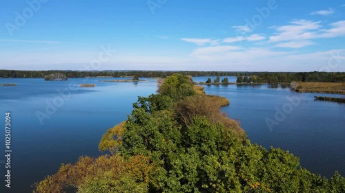 Wallpaper Mural Carp Fish Farming Lakes Nowe Grodzisk Landscape Park Poland Torontodigital.ca