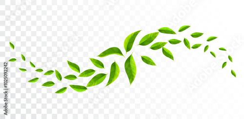Fresh mint leaves waves. Freshness effect. Green leaves wave. Flying foliage. Vegan, eco, nature design element.