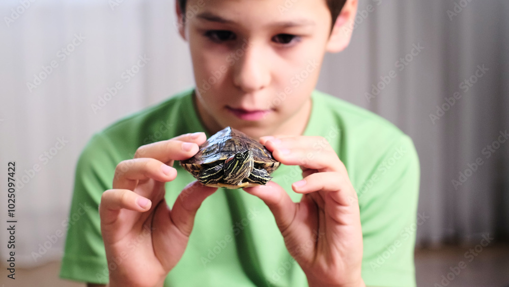 The boy s gentle grip on the turtle shows his interest in the small animal as he studies it closely. This image highlights the wonder and connection between children and animals. The boy s gentle grip on the turtle shows his interest in the small animal as he studies it closely. This image highlights the wonder and connection between children and animals.