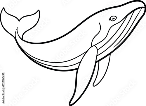 Humpback Whale line art vector. humpback whale outline illustration design. Whale linear sketch drawing isolated on white background.