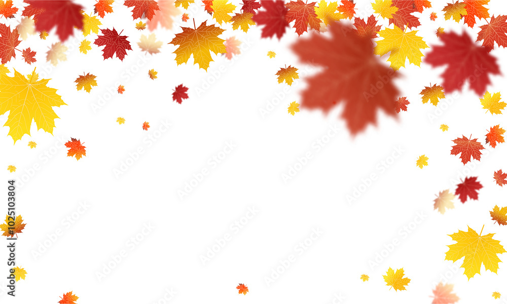 Autumn falling leaves PNG. on isolated transparent background. Autumn falling leaves PNG. on isolated transparent background.