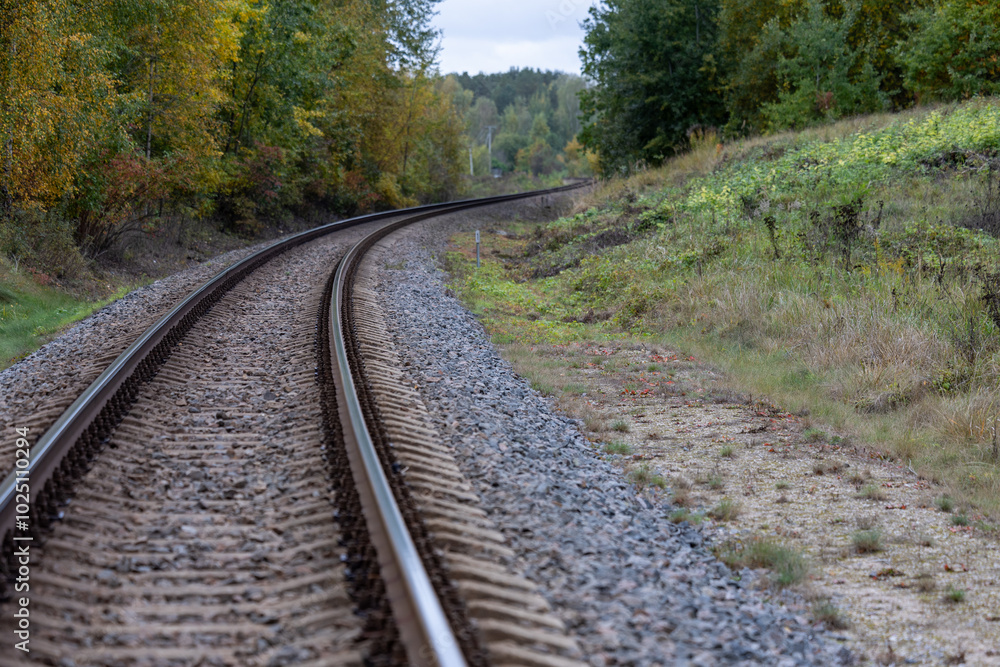 Railway tracks curve through the autumn forest Railway tracks curve through the autumn forest