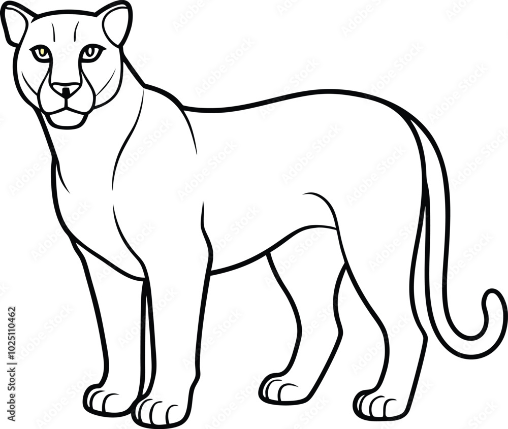 Obraz premium lion line art graphic design resource. Mountain Lion outline illustration. Vector line drawing black and white design.