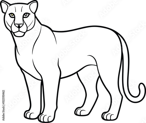lion line art graphic design resource. Mountain Lion outline illustration. Vector line drawing black and white design.