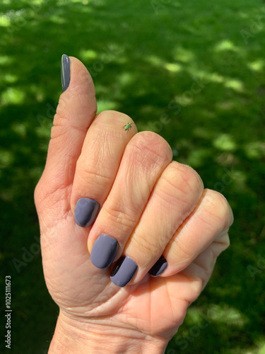 A close-up of a woman's bent hand with purple nails, holding a small insect on one finger. The background is washed out greenery, making the tiny insect the main focus of the image.