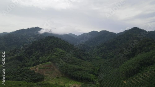 Wallpaper Mural An aerial view of Thailand's rich tropical forests. Torontodigital.ca