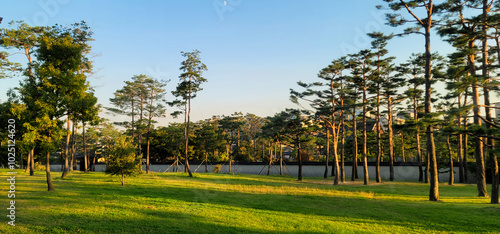 Beautiful Garden in Gyeongbokgung Palace, with blue sky on a sunny day, in Seoul, Korea