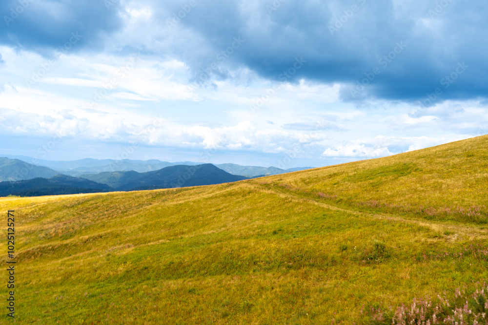 Mountains ranges in the Carpathians. Hills, forest and meadows. Yellow valley. Ukraine blue sky flag Mountains ranges in the Carpathians. Hills, forest and meadows. Yellow valley. Ukraine blue sky flag