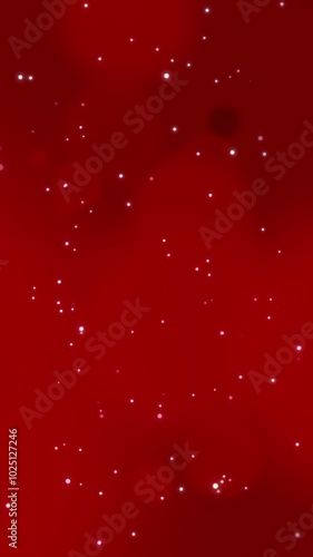 Christmas background video bokeh lights