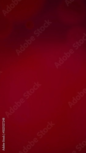 Christmas background video bokeh lights