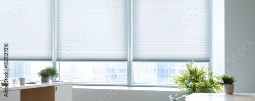 Bright and modern office interior featuring sleek blinds and potted plants, creating a calm and productive workspace.