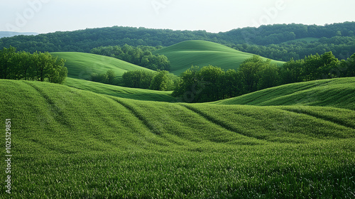 Lush green rolling hills landscape - nature