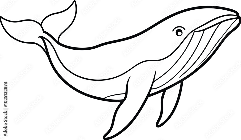 Humpback whale vector art, and line art illustration design. Humpback Whale line art vector. Whale linear sketch drawing isolated on white background. Humpback whale vector art, and line art illustration design. Humpback Whale line art vector. Whale linear sketch drawing isolated on white background.