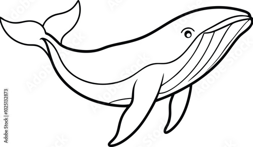 Humpback whale vector art, and line art illustration design. Humpback Whale line art vector. Whale linear sketch drawing isolated on white background.