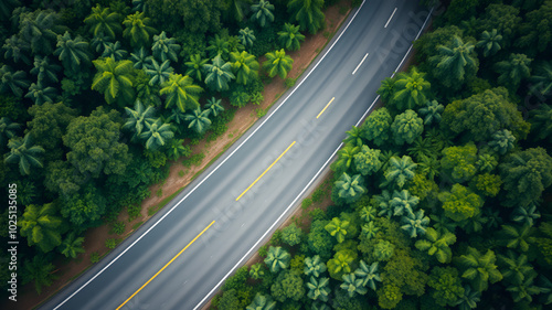 Aerial view of a country road in the forest. Texture of forest view from above. AI generated image, ai.